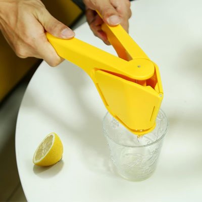 Presse citron manuel